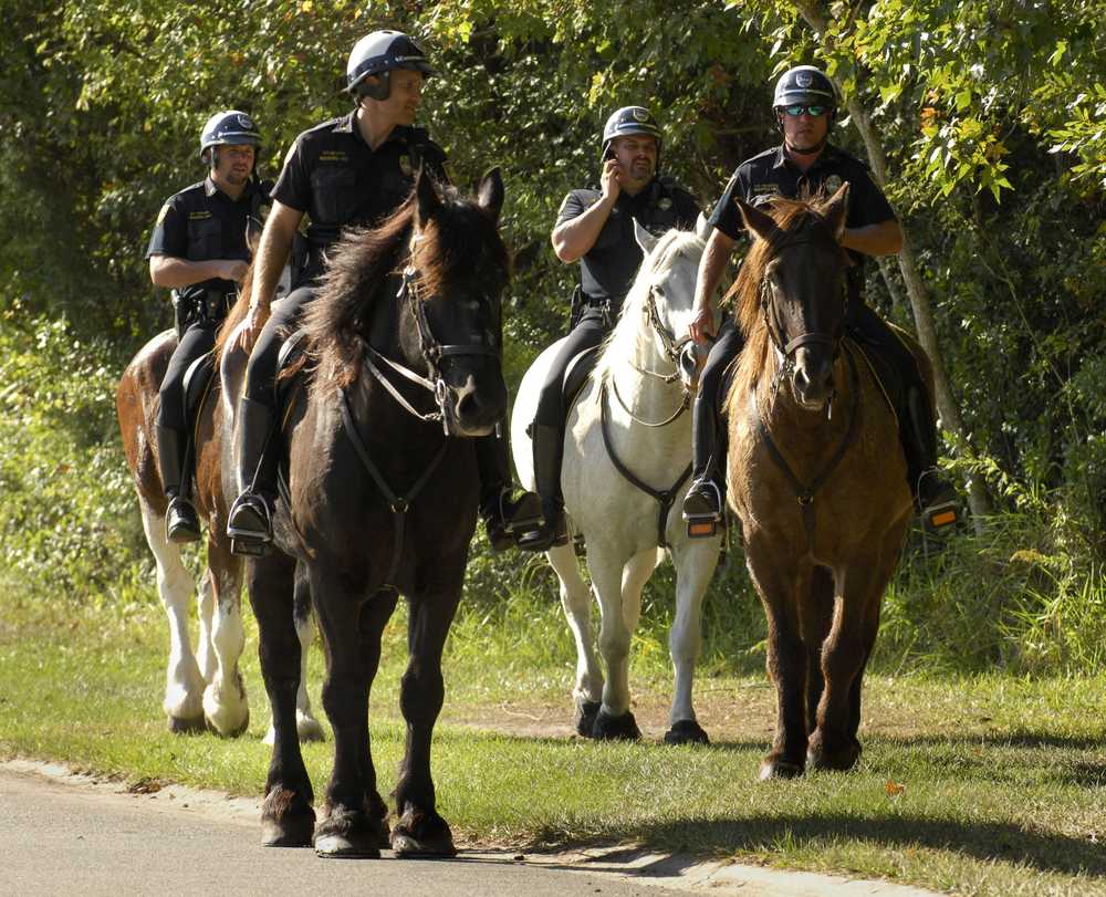 The Training Of The Montgomery County Park Mounted Police Officers
